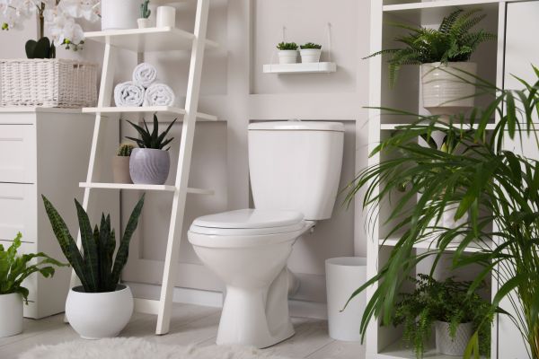 Toilet Repair in Johnson City