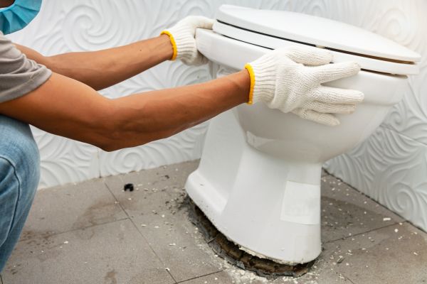 Cost of Toilet Removal in Johnson City