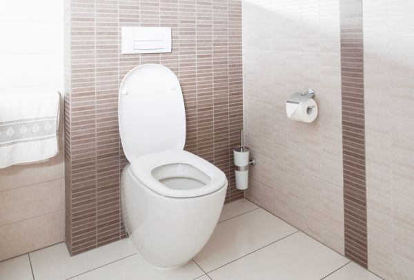 Cost of Toilet Plumbing Installation in Johnson City